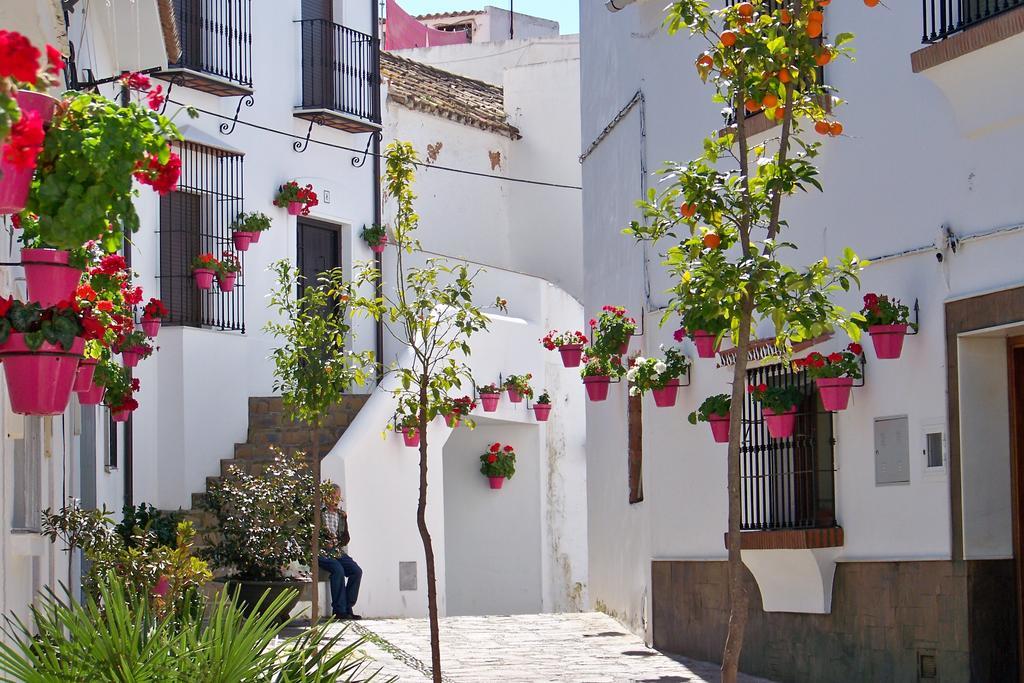 Apartment Miguel Angel Estepona
